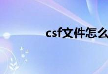 csf文件怎么打开（csf文件）