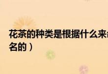 花茶的种类是根据什么来命名呢（花茶的种类是根据什么命名的）