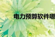 电力预算软件哪个最好（电力预算）