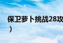 保卫萝卜挑战28攻略图解（保卫萝卜挑战28）