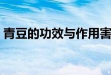 青豆的功效与作用害处（青豆的功效与作用）
