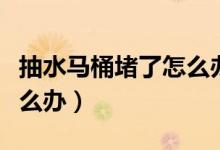 抽水马桶堵了怎么办小窍门（抽水马桶堵了怎么办）