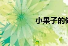 小果子的做法（小果子）