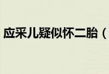 应采儿疑似怀二胎（小小春要有弟弟妹妹了）