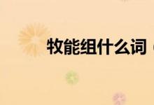 牧能组什么词（牧字注音及解释）