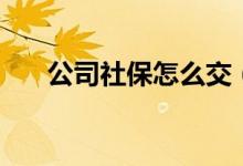 公司社保怎么交（公司社保如何缴纳）