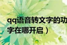 qq语音转文字的功能在哪（qq语音自动转文字在哪开启）
