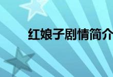 红娘子剧情简介（红娘子剧情介绍）