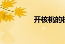 开核桃的核桃哥（开核）