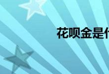 花呗金是什么（花呗金）