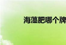 海藻肥哪个牌子最好（海藻肥）