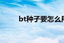 bt种子要怎么用（bt种子怎么用）