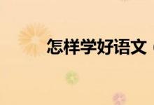 怎样学好语文（学习语文的方法）
