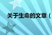 关于生命的文章（关于生命的文章范文）