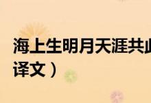 海上生明月天涯共此时全诗（望月怀古原文及译文）
