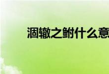 涸辙之鲋什么意思（涸辙之鲋含义）