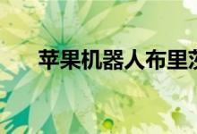 苹果机器人布里茨价格（苹果机器人）