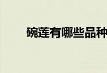 碗莲有哪些品种（碗莲的品种大全）