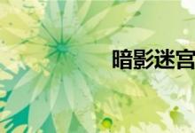 暗影迷宫（暗影迷宫）