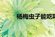 杨梅虫子能吃吗（有虫子怎么办）