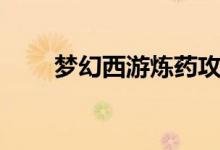 梦幻西游炼药攻略（梦幻西游炼药）