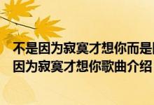 不是因为寂寞才想你而是因为想你才寂寞是什么意思（不是因为寂寞才想你歌曲介绍）