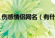 伤感情侣网名（有什么比较伤感的情侣网名）