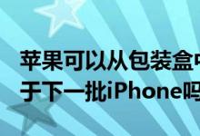 苹果可以从包装盒中取出Lightning电缆以用于下一批iPhone吗