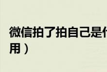 微信拍了拍自己是什么意思（微信拍了拍怎么用）