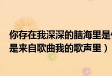 你存在我深深的脑海里是什么歌（你存在我深深的脑海里是是来自歌曲我的歌声里）