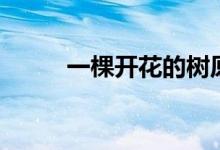 一棵开花的树原文（作者席慕容）