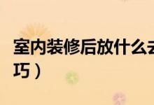 室内装修后放什么去味（室内装修后去味的技巧）