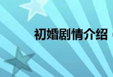 初婚剧情介绍（初婚电视剧简介）