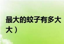 最大的蚊子有多大（世界最大的蚊子大概有多大）