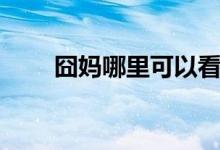 囧妈哪里可以看（讲述了什么故事）