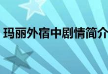 玛丽外宿中剧情简介（玛丽外宿中剧情概要）
