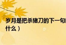 岁月是把杀猪刀的下一句幽默（岁月是把杀猪刀的下一句是什么）