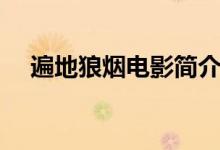 遍地狼烟电影简介（遍地狼烟电影介绍）