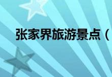 张家界旅游景点（张家界旅游景点介绍）