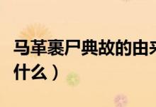马革裹尸典故的由来（马革裹尸典故的由来是什么）