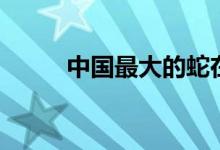 中国最大的蛇在哪里（它的介绍）