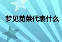 梦见苋菜代表什么（梦见苋菜有什么含义）