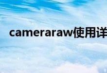 cameraraw使用详细介绍（cameraraw）