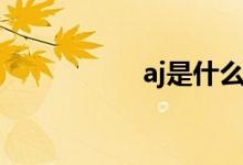 aj是什么（aj的资料）