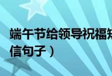端午节给领导祝福短信（端午节给领导祝福短信句子）