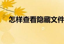 怎样查看隐藏文件（如何显示隐藏文件）