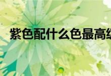 紫色配什么色最高级（紫色配什么色好看）