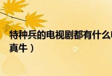 特种兵的电视剧都有什么电视剧（剧中百里挑一的特战队员真牛）