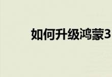 如何升级鸿蒙3.0（如何升级鸿蒙）