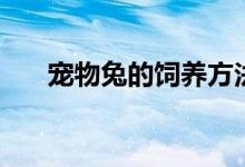 宠物兔的饲养方法（宠物兔子怎么养）